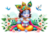 heavy laddu gopal dress